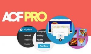 Advanced Custom Fields Pro Plugin - ACF Pro Plugin