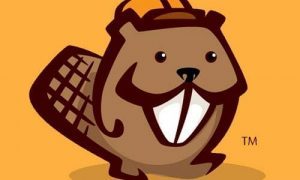 Beaver Builder Pro WordPress Plugin