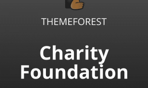 Charity Foundation Charity Hub WP Theme