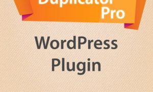 Duplicator Pro Plugin For WordPress