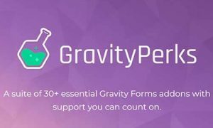 Gravity Perks WordPress Plugin