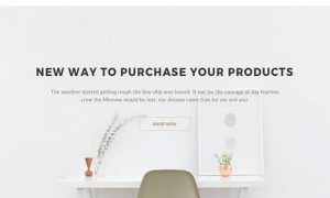 Max Shop - Ecommerce HTML Template