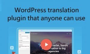TranslatePress Multilingual WordPress Plugin