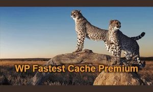 WP Fastest Cache Premium