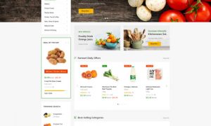 Farmart Organic and Grocery WordPress Theme - Farmart Marketplace Theme