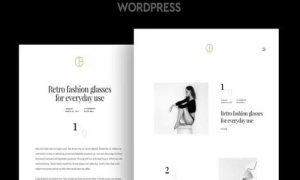 Opta Minimal Portfolio Theme - Opta Photography Theme