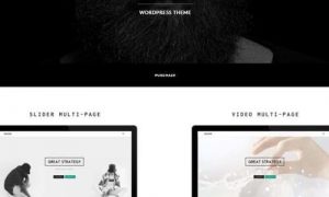 Seline Creative Portfolio WordPress Theme - Seline Theme GPL