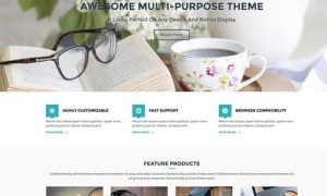 The Flash WordPress Theme