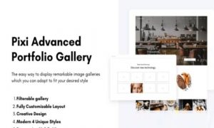 Pixi Advanced WordPress Portfolio Plugin -Pixi Advanced Plugin GPL