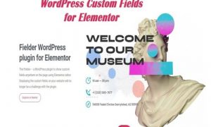 WordPress Custom Fields for Elementor - Custom Fields Plugins GPL