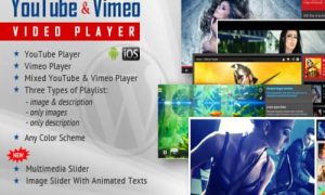 Youtube Vimeo Video Player and Slider WP Plugin