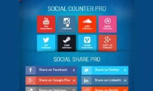 AccessPress Social PRO WordPress Plugin - AccessPress Social PRO Plugin GPL