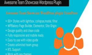 Awesome Team Showcase Wordpress plugin TeamPress