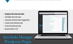Interlinks Manager Wordpress Plugin - Interlinks Manager Plugin GPL