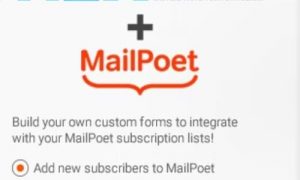 NEX Forms MailPoet Add on wp Plugin
