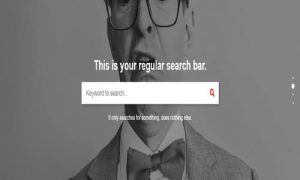 Search Bar Ads WooCommerce Plugin