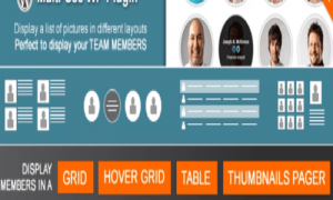 Team Showcase WordPress Plugin - Team Showcase Plugin GPL